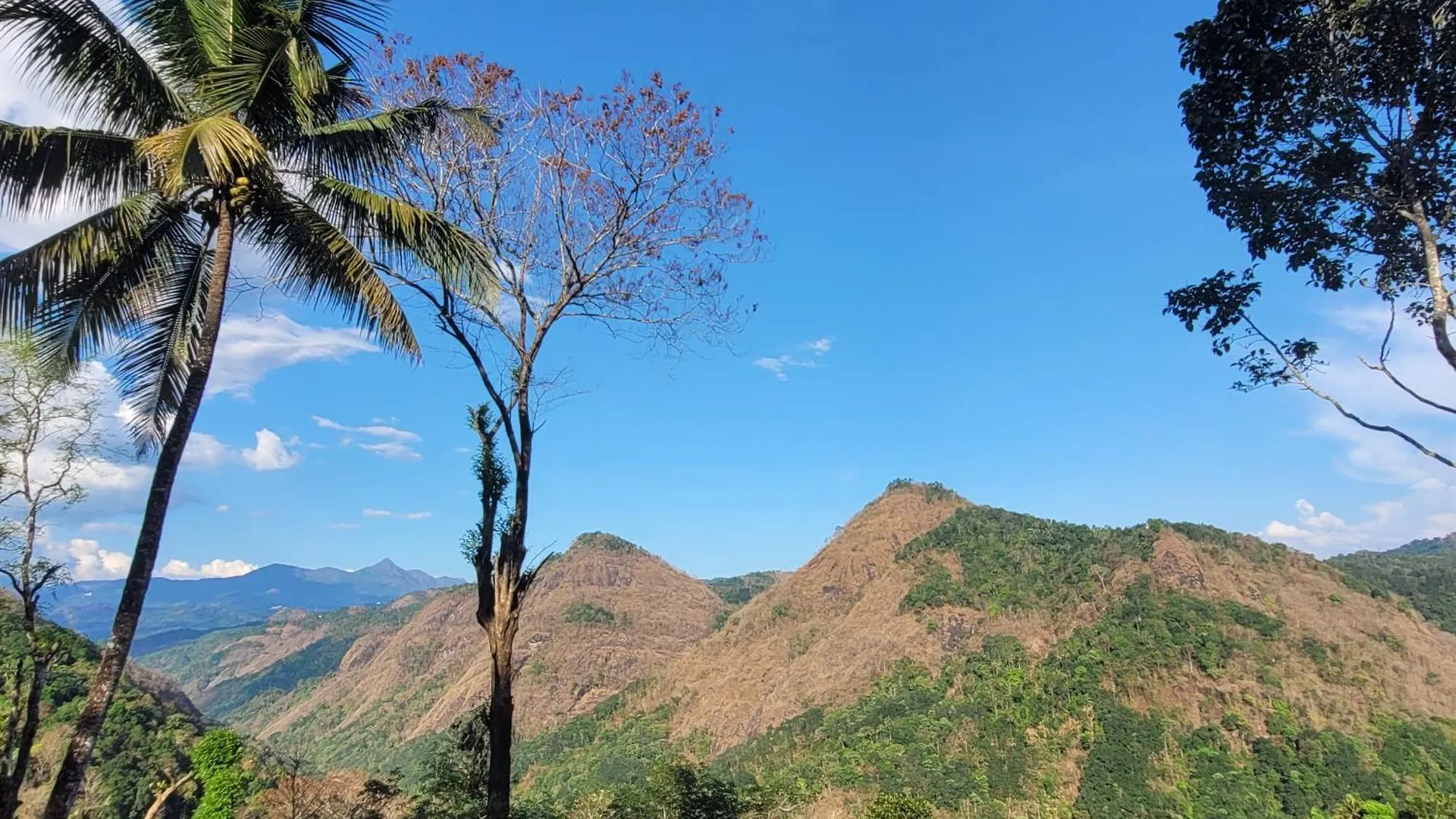 别墅 Newcastle Holidays Resorts-First Floor With 2 Bedrooms Living Dining Balcony-6 Guests- Near Munnar Idukki Kumudi