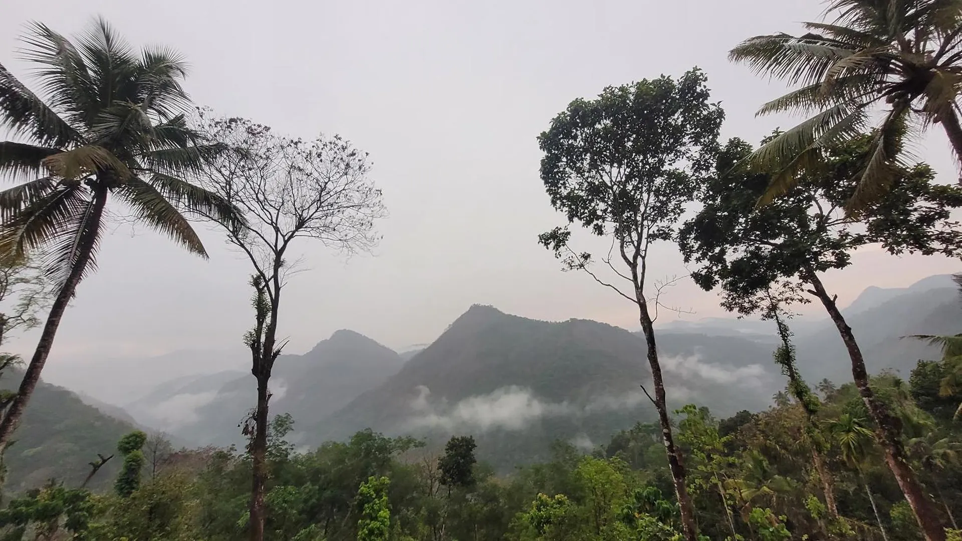Newcastle Holidays Resorts-First Floor With 2 Bedrooms Living Dining Balcony-6 Guests- Near Munnar Idukki Kumudi 印度